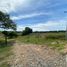 Land for sale in Compostela, Nayarit, Compostela