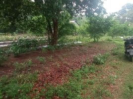  Land for sale in Yogyakarta, Kalasan, Sleman, Yogyakarta