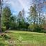4 Habitación Villa en venta en Villarrica, Cautín, Villarrica