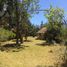  Land for sale in Tenango Del Valle, Mexico, Tenango Del Valle