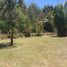  Land for sale in Tenango Del Valle, Mexico, Tenango Del Valle