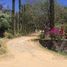  Land for sale in Tenango Del Valle, Mexico, Tenango Del Valle