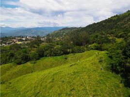  Land for sale in Valparaiso, Caqueta, Valparaiso