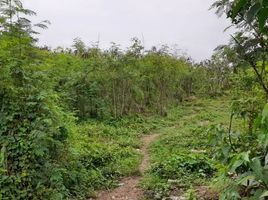  Land for sale in Cibitung, Bekasi, Cibitung