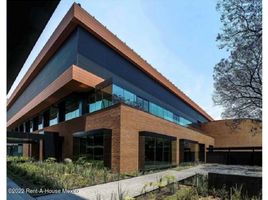 431 m² Office for rent in México, Miguel Hidalgo, Ciudad de México, México