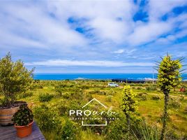  Land for sale in Chile, La Ligua, Petorca, Valparaiso, Chile