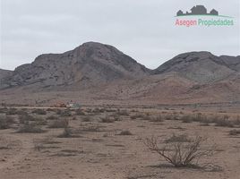  Land for sale in Chile, Vallenar, Huasco, Atacama, Chile