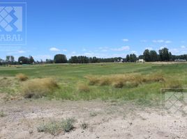  Land for sale in Confluencia, Neuquen, Confluencia