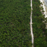  Terreno (Parcela) en venta en Othon P Blanco, Quintana Roo, Othon P Blanco