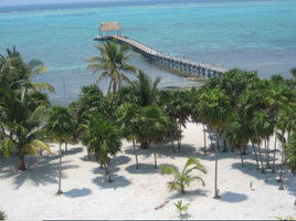  Terreno (Parcela) en venta en Othon P Blanco, Quintana Roo, Othon P Blanco