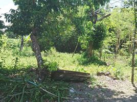  Terreno (Parcela) en venta en Depok, Yogyakarta, Depok, Sleman