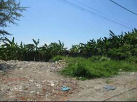  Tanah for sale in Mulyorejo, Surabaya, Mulyorejo