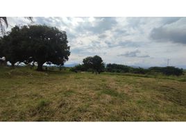  Terreno (Parcela) en venta en Alcala, Valle Del Cauca, Alcala