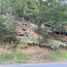  Terreno (Parcela) en venta en Araucanía, Curacautin, Malleco, Araucanía