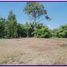  Land for sale in Bantul, Yogyakarta, Pajangan, Bantul