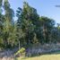 Land for sale in Llanquihue, Los Lagos, Puerto Varas, Llanquihue