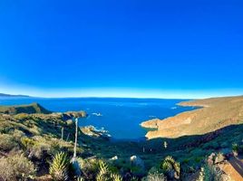  Grundstück zu verkaufen in Ensenada, Baja California, Ensenada