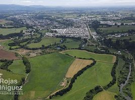  Land for sale in Chile, San Pablo, Osorno, Los Lagos, Chile