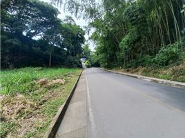  Land for sale in Pereira, Risaralda, Pereira