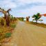  Land for sale in Jipijapa, Manabi, Puerto De Cayo, Jipijapa