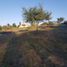  Land for sale in Punilla, Cordoba, Punilla