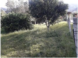  Land for sale in Girardota, Antioquia, Girardota