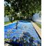 3 Bedroom House for sale in Tlayacapan, Morelos, Tlayacapan