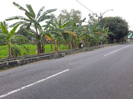  Land for sale in Yogyakarta, Seyegan, Sleman, Yogyakarta