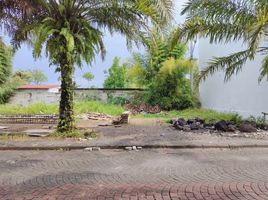  Land for sale in Yogyakarta, Mlati, Sleman, Yogyakarta