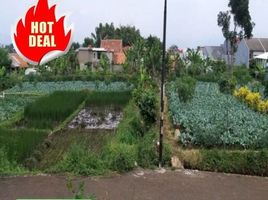  Land for sale in Bandung, West Jawa, Sukasari, Bandung