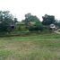  Land for sale in Bandung, West Jawa, Cicalengka, Bandung