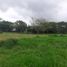  Land for sale in Yopal, Casanare, Yopal