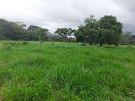  Land for sale in Yopal, Casanare, Yopal