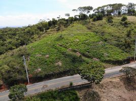  Terreno (Parcela) en venta en Jamundi, Valle Del Cauca, Jamundi