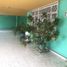 在墨西哥出租的 屋, Monterrey, Nuevo Leon, 墨西哥