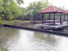 2 Schlafzimmer Haus zu verkaufen in Lombok Barat, West Nusa Tenggara, Gerung, Lombok Barat