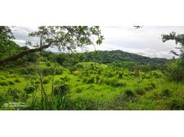 Estudio Casa en venta en Chiriquí, Chiriquí, David, Chiriquí