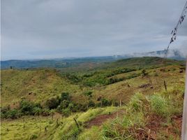  Terreno (Parcela) en venta en Veraguas, La Peña, Santiago, Veraguas