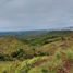  Land for sale in La Pena, Veraguas, La Pena, Santiago