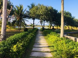  Grundstück zu verkaufen in Ngu Hanh Son, Da Nang, Hoa Hai