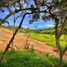  Terreno (Parcela) en venta en La Ceja, Antioquia, La Ceja