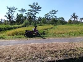  Land for sale in Yogyakarta, Pakem, Sleman, Yogyakarta