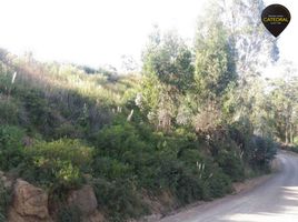  Land for sale in Azogues, Canar, Javier Loyola Chuquipata, Azogues