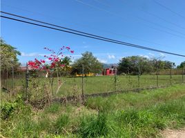  Terreno (Parcela) en venta en Panamá Oeste, Nueva Gorgona, Chame, Panamá Oeste