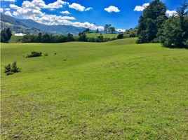  Terrain for sale in Antioquia, El Carmen De Viboral, Antioquia