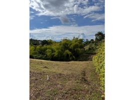  Land for sale in Pereira, Risaralda, Pereira