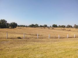  Land for sale in Tizayuca, Hidalgo, Tizayuca