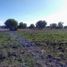  Land for sale in Tizayuca, Hidalgo, Tizayuca