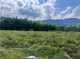  Land for sale in Manizales, Caldas, Manizales