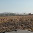  토지을(를) Zapotlan De Juarez, 히달고에서 판매합니다., Zapotlan De Juarez